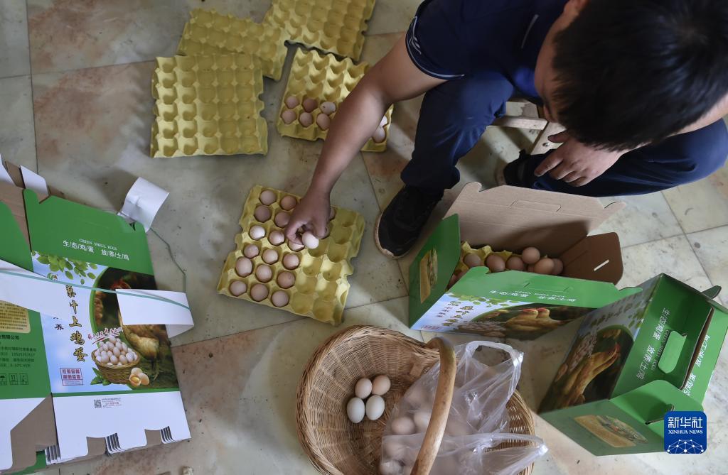 多宝游戏盒子官网